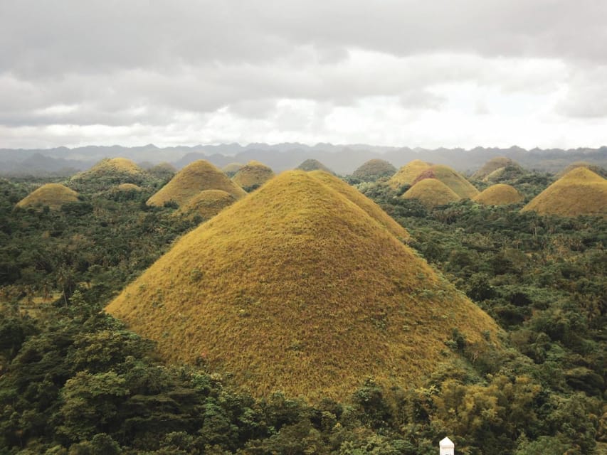 PREMIUM Cebu-Bohol Day Tour with Roundtrip Ferry Transfers - Meeting your guide at Tagbilaran Port