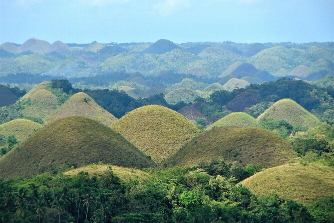 Private Bohol and Chocolate Hills with Loboc River Cruise - Why This Private Bohol Day Works