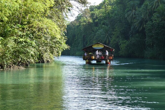 Private Bohol and Chocolate Hills with Loboc River Cruise - Seeing the Chocolate Hills Natural Monument