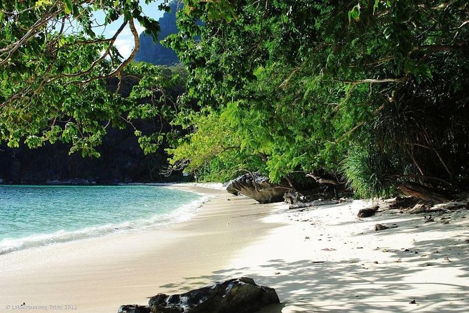 PRIVATE El Nido Tour D Island Hopping - The service issue deserves careful attention