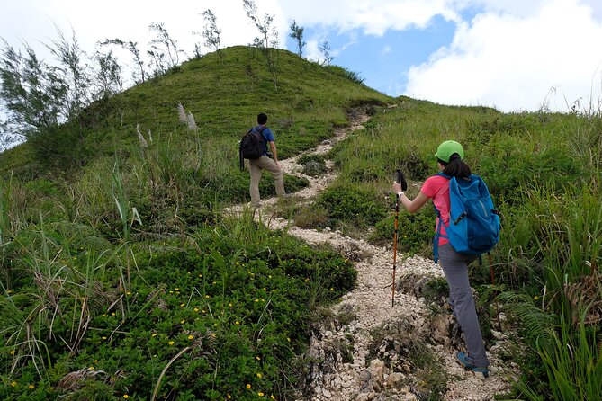 Private Kawasan Falls and Osmena Peak Day Trip from Cebu City - Osmena Peak and its Hershey Kiss hills