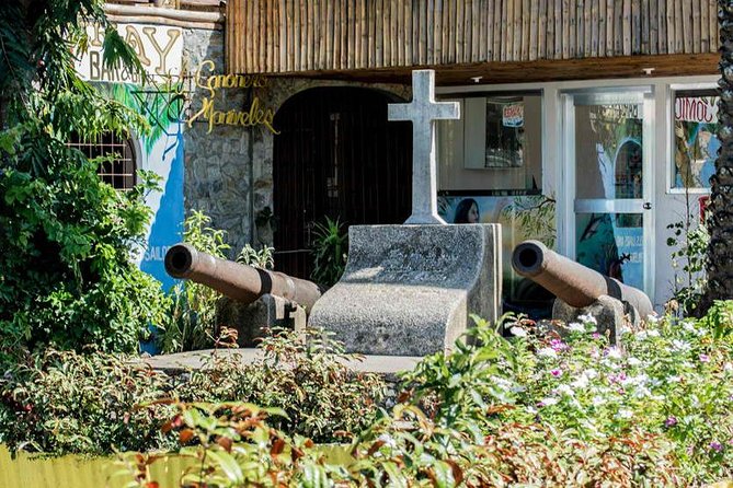 Puerto Galera Inland Tour - Tamaraw Waterfalls: the day’s natural centerpiece