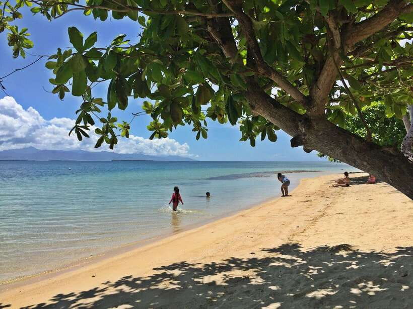 Puerto Princesa: Cowrie Island Guided Day Tour with Meal - Why Cowrie Island works as a short Puerto Princesa escape