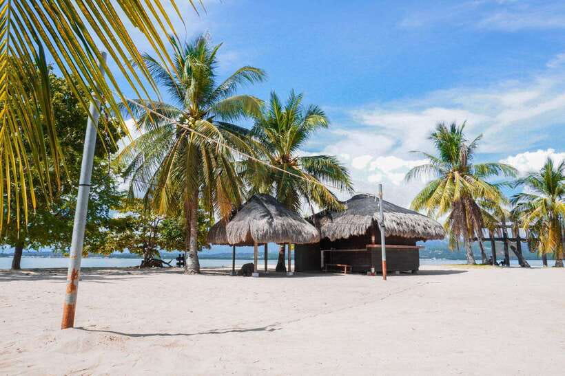 Puerto Princesa: Cowrie Island Guided Day Tour with Meal - The drawbacks to consider before booking