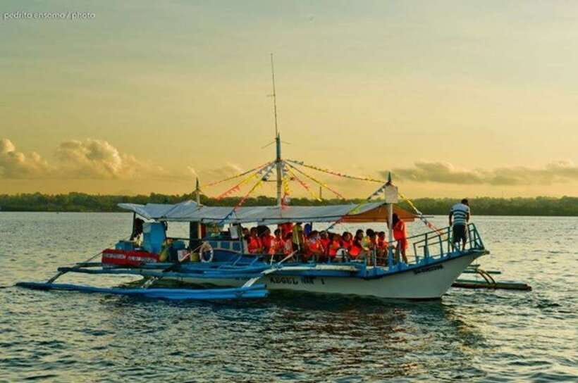 Puerto Princesa: Firefly Watching Bay Cruise with Dinner - Looking for bioluminescent plankton