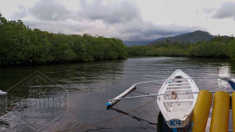 Puerto Princesa: Firefly Watching Paddle Boat Tour & Dinner - Key points at a glance