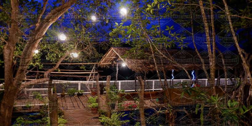 Puerto Princesa: Firefly Watching Paddle Boat Tour & Dinner - The guide, safety, and pace
