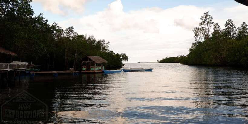 Puerto Princesa: Firefly Watching Paddle Boat Tour & Dinner - Who should book this evening
