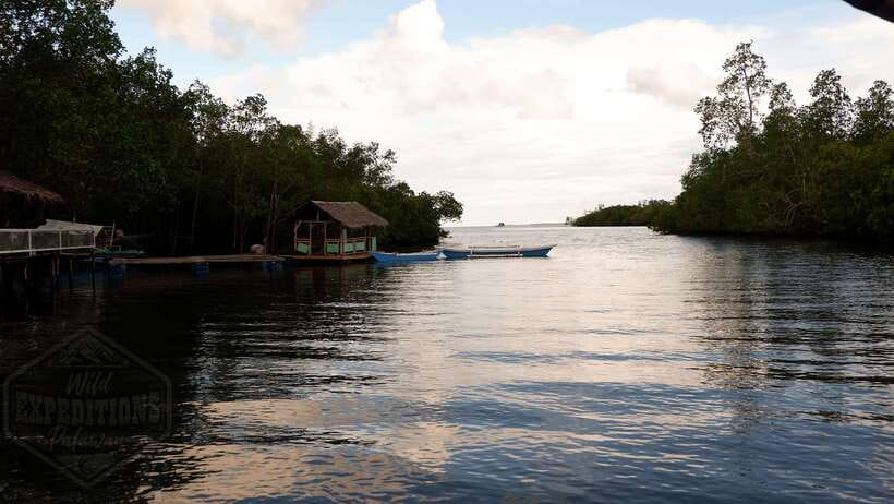 Puerto Princesa: Firefly Watching Paddle Boat Tour & Dinner - Pickup from Puerto Princesa between 5:00 and 6:00 pm