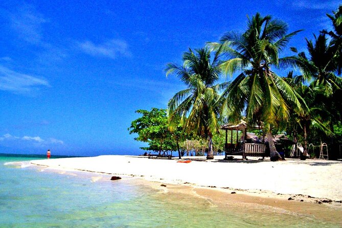 Puerto Princesa: Honda Bay Island Hopping with Buffet Lunch - Luli Island and its disappearing sandbar