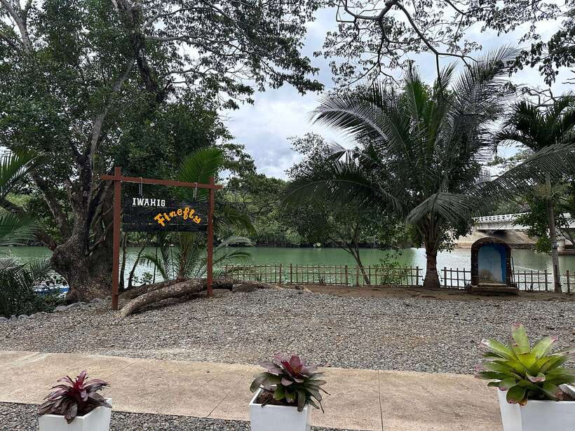 Puerto Princesa: Iwahig Firefly Watching & River Cruise - What the mangroves add to the experience