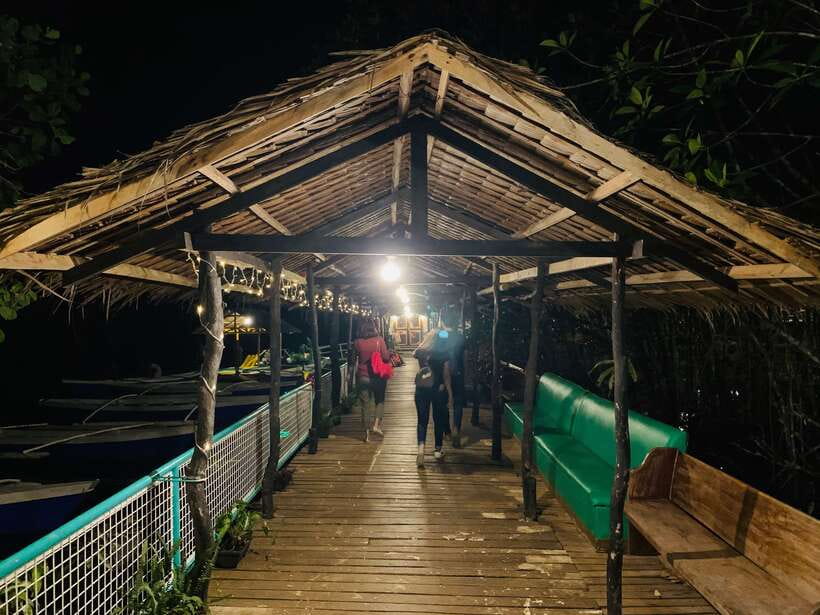 Puerto Princesa: Jungle Firefly Watching Boat Tour & Dinner - A 4:30 PM Pickup and a Ride Out of Town