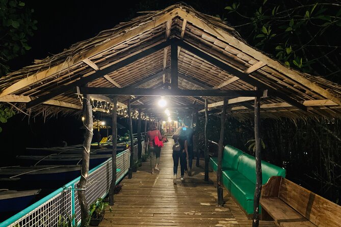Puerto Princesa Jungle River Firefly Watching - The 5:30 pm departure and the ride out of the city
