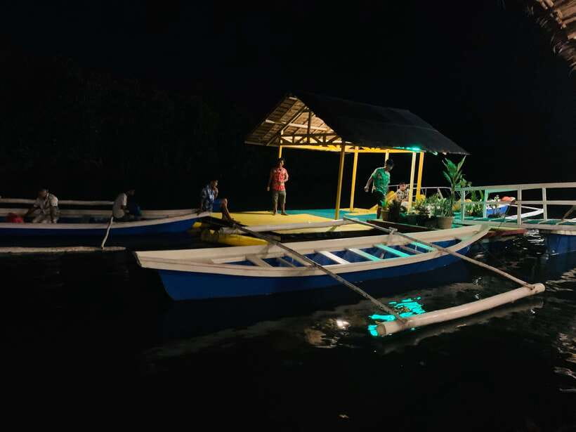 Puerto Princesa: Underground River and Firefly Watching Tour - Dinner At Kitu-KiTo D’Makarios