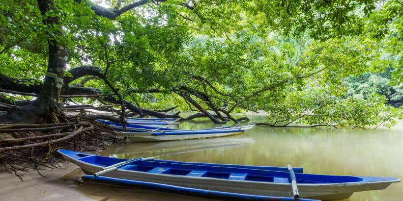 Puerto Princesa Underground River Tour in Palawan - Inside the cave on the 45 to 60 minute paddle boat ride