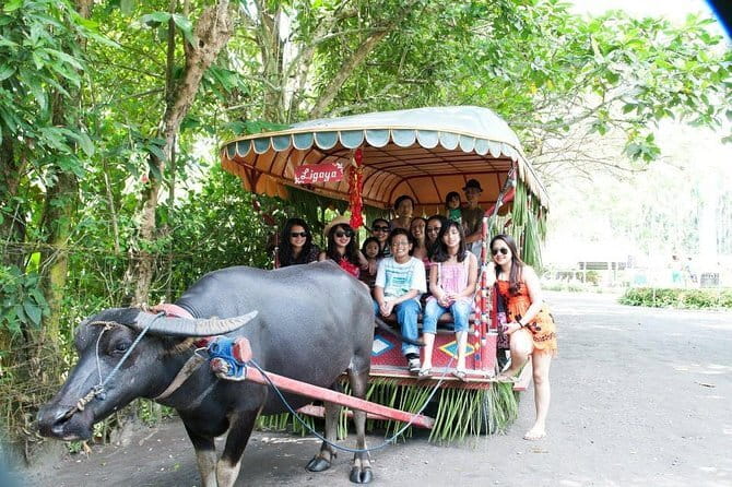 Sagada and Banaue Rice Terraces 4-Day Tour - Who should book this four-day mountain route?