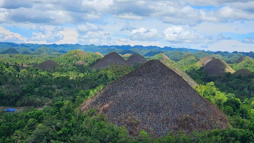 Sardines, chocolate hills, tarsiers, ATV,floating restaurant - The Man-Made Forest and the road inland
