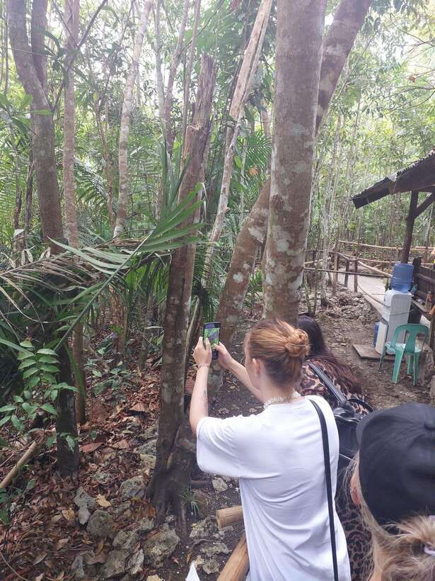 Sardines, chocolate hills, tarsiers, ATV,floating restaurant - Snorkeling, sardines, and a point to confirm