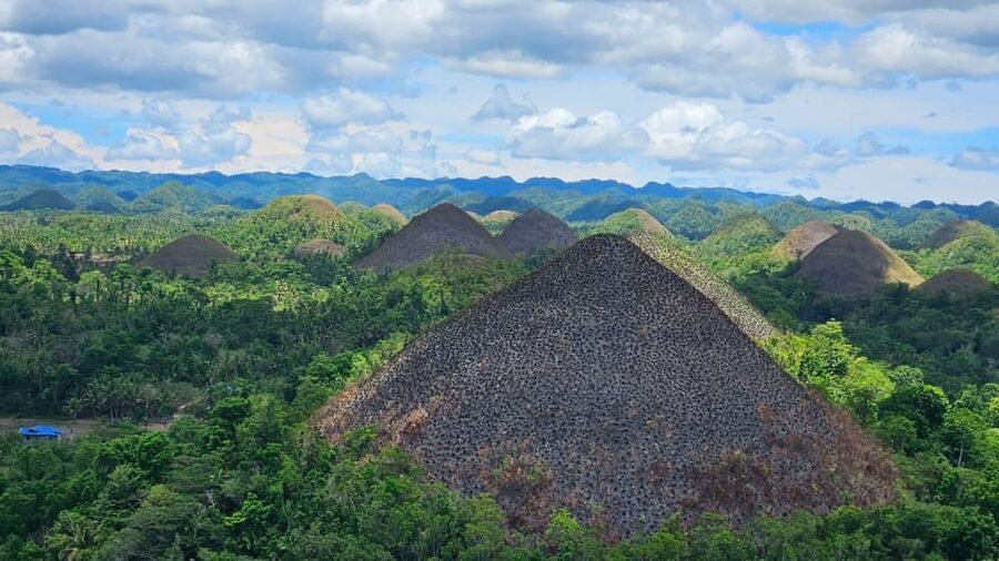 Sardines, chocolate hills, tarsiers, ATV,floating restaurant - A 100-meter flight above the Loboc River