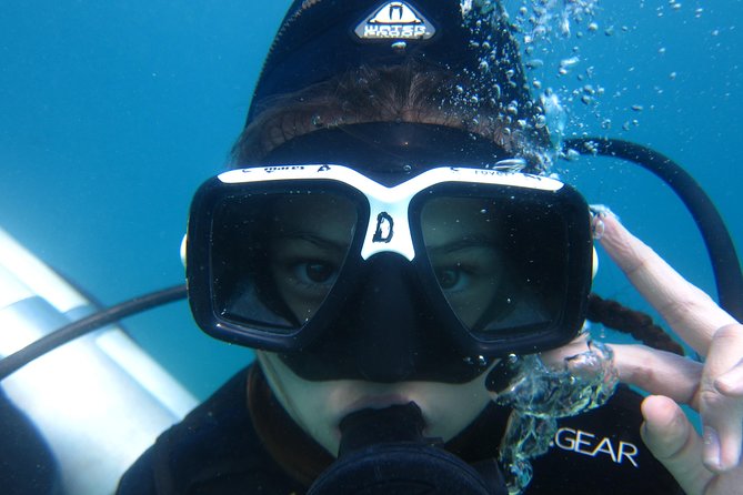 Scuba Diver Course (PADI) - Key points to know before booking