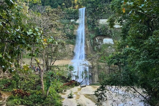 Shared Bohol Countryside Highlights Tour - The guide, group size, and pace