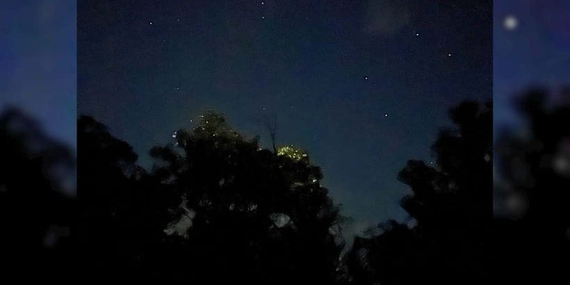 Shared Firefly Watching Cruise on Bohol’s Scenic Loboc River - The evening road trip from Panglao or Tagbilaran
