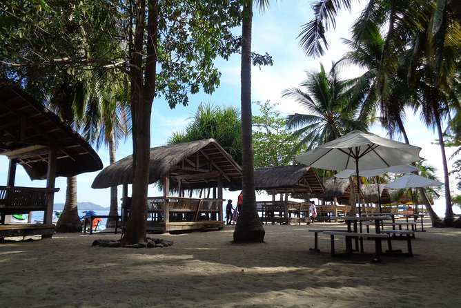 Shore excursion: Puerto Princesa Island Hopping Tour - Starfish Sandbar Resort: the day’s best marine-life stop
