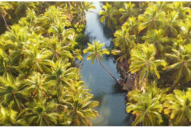 Siargao Land Tour - Maasin River and the famous bent palm tree