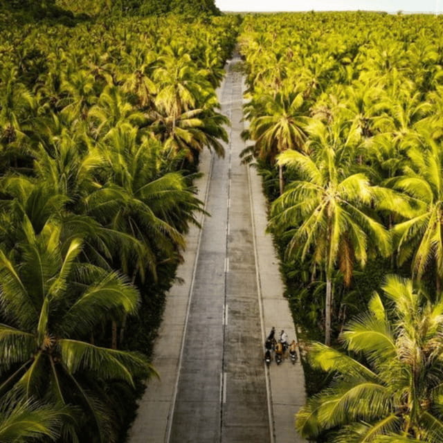SIARGAO: Land Tour with Maasin River - Coconut Plantation and Coconut Road