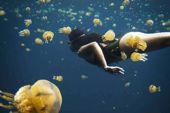 Siargao Private Sohoton Bucas Grande Tour with Lunch - Key points to know before booking