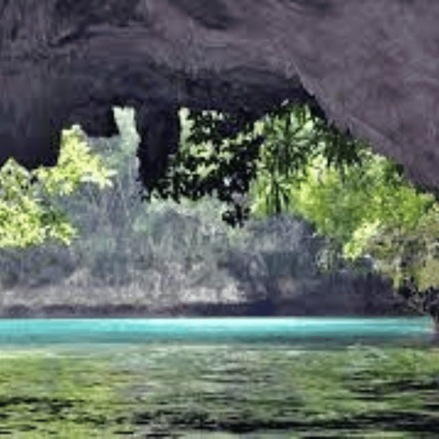 Siargao:Sohoton Island Hopping Tour with Jellyfish Sanctuary - The jellyfish sanctuary experience