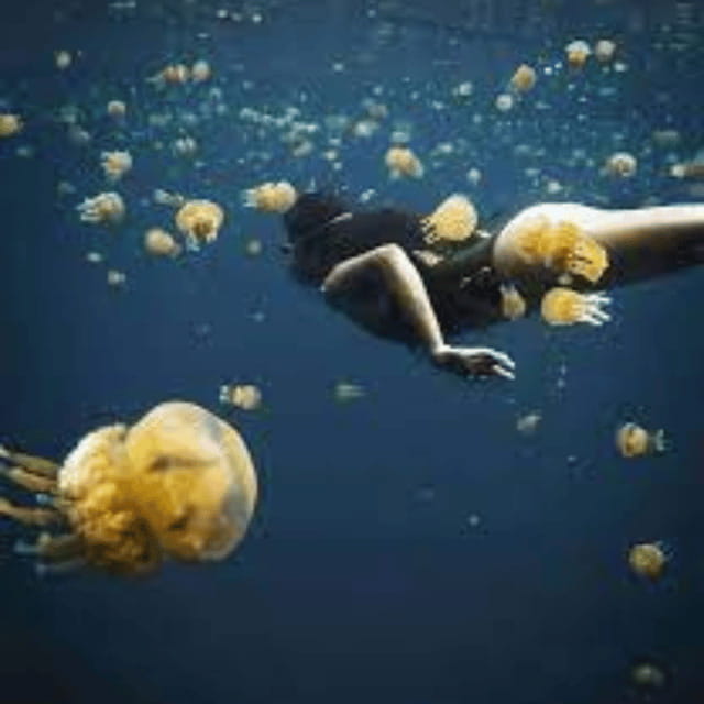 Siargao:Sohoton Island Hopping Tour with Jellyfish Sanctuary - Bubon Beach and Marka-A Island