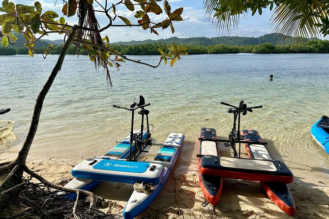 Siargao Sunset Paddle Board and Firefly Watching - Starting at 4:00 pm in Siargao