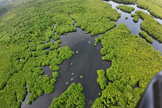 Siargao Sunset Paddle Board and Firefly Watching - Pickup, Group Size, and Practical Details