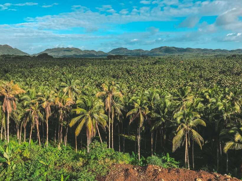 Siargao Tour D (Private Tour) - Key Points Before You Book
