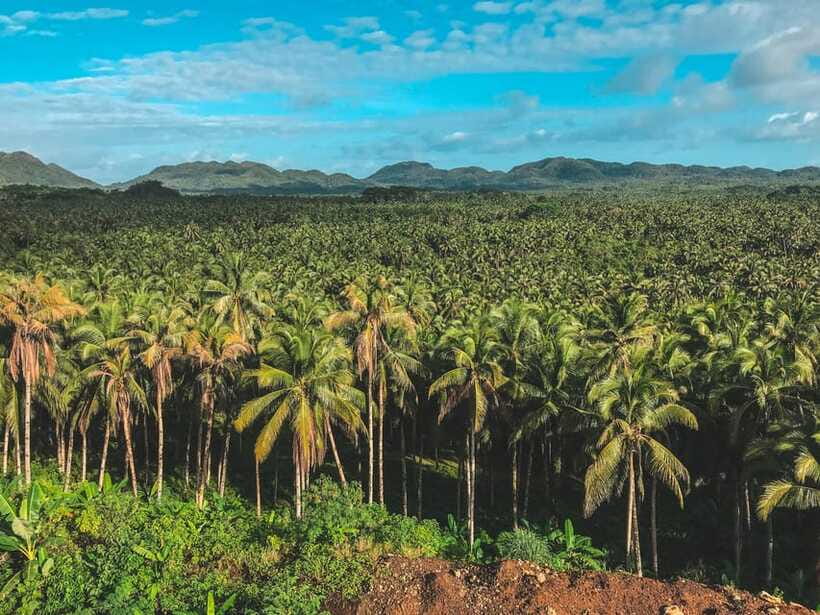 Siargao Tour D (Private Tour) - Booking Details That Matter