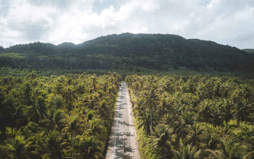 Siargao Tour G (Private Tour) - The Morning Island Run: Guyam, Daku, and Naked Island