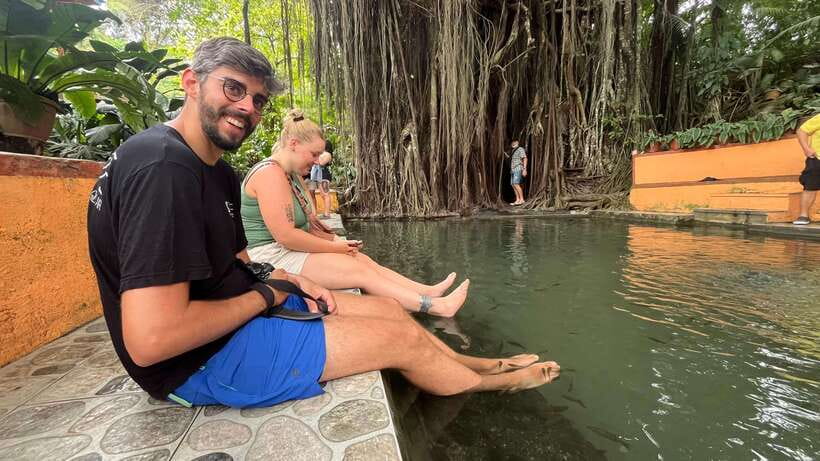 Siquijor Full day ( Private Tour ) Experience - The Balate Trees add a quirky island tradition