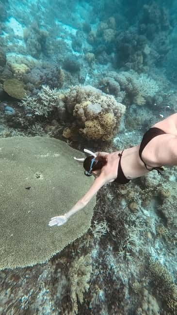 Siquijor: Jeepney Island Tour with Snorkeling - Why this Siquijor tour works well in one day