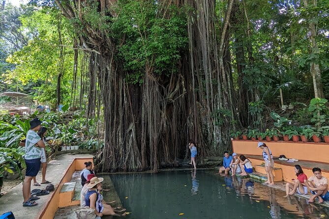 Siquijor Land Tour - The Old Enchanted Balete Tree has a memorable fish spa