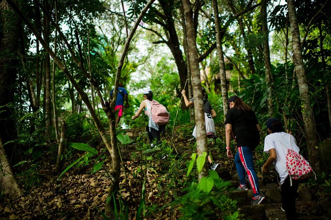 Skip the Line: Hike Eat Swim at Mount Purro Nature Reserve Ticket - What your day can look like from 7am to 5pm