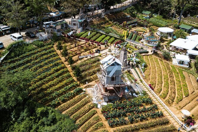Small Group Cebu City And Uphill Mountain Tour - Sirao Garden starts the day in the hills
