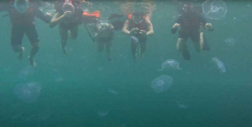 Sohoton Cove: Swim with Jellyfish & Explore Hidden Lagoons - From pickup to Dapa Port
