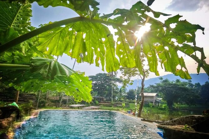 Tanay Nature Hiking Mountain Trekking Experience Near Manila - Bamboo ladders and the summit challenge