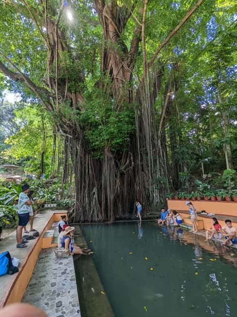 The Best of Siquijor Island Tour - Key points at a glance