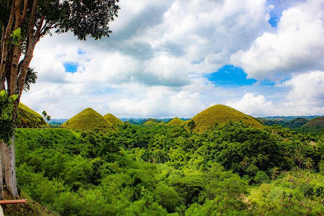 The tour of the must-see sites of Bohol - Two hours among the Chocolate Hills