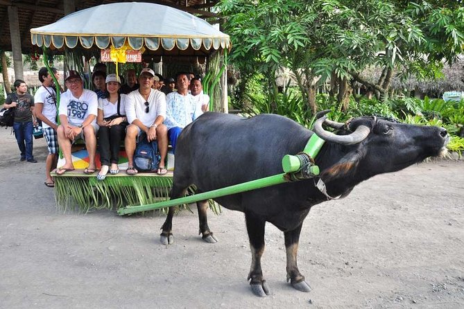 Villa Escudero Tour with Lunch From Manila (SHARED) - Entering an Old Plantation Setting