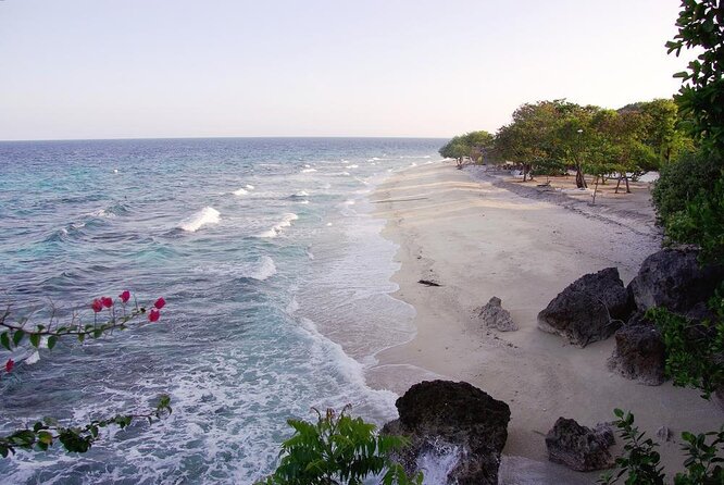 Whale Shark Encounter and Sumilon Sandbar with Kawasan Falls - Why This Cebu Combination Works