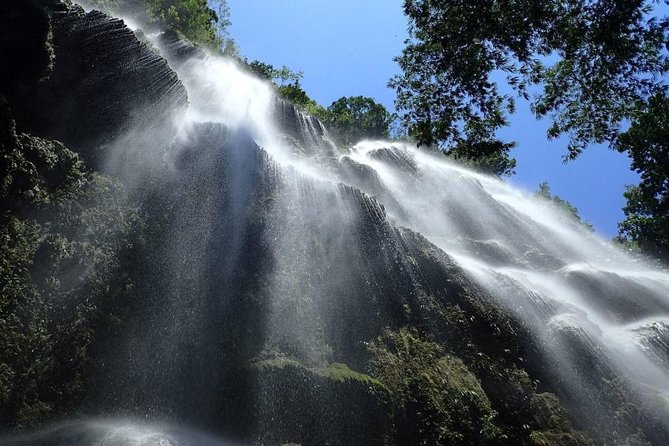 Whale Shark Encounter and Sumilon Sandbar with Kawasan Falls - The 3:00 to 4:00 AM Start in Cebu
