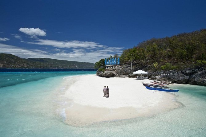 Whale Shark Encounter and Sumilon Sandbar with Kawasan Falls - Sumilon Sandbar and one hour on the island